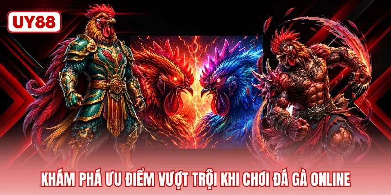 Khám phá ưu điểm vượt trội khi chơi đá gà online