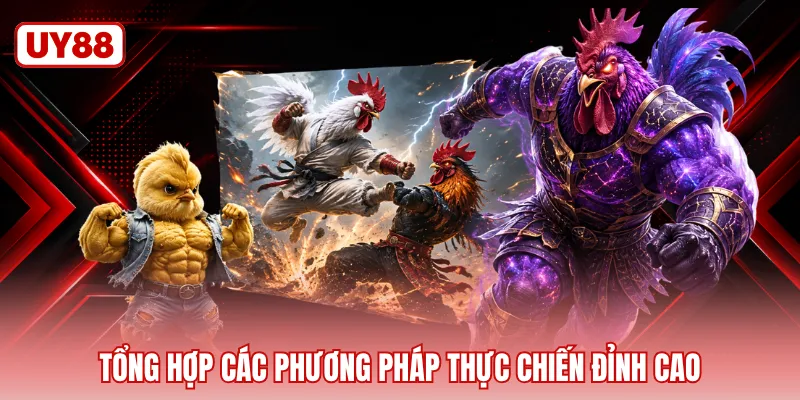 Tổng hợp các phương pháp thực chiến đỉnh cao